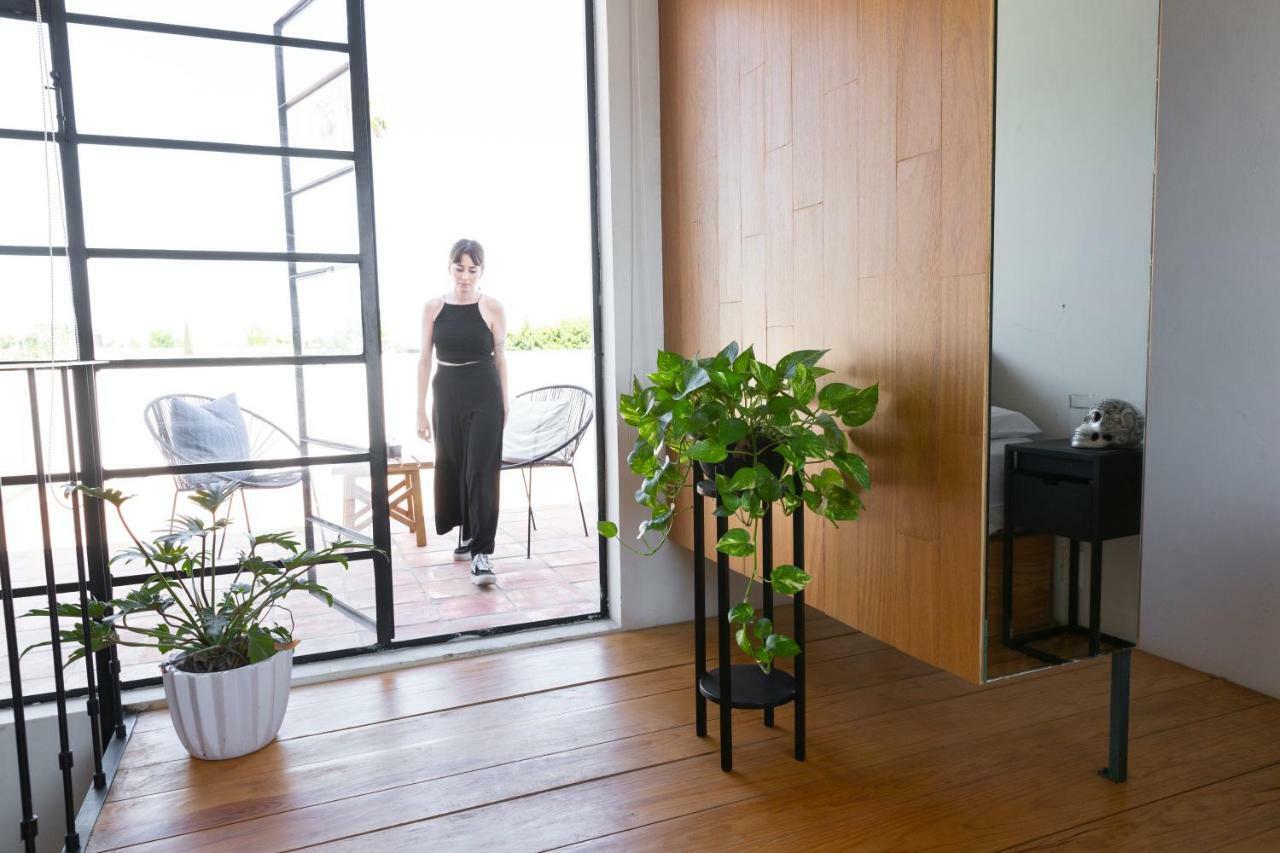 Casa Nican By Barrio Mexico グアダラハラ エクステリア 写真